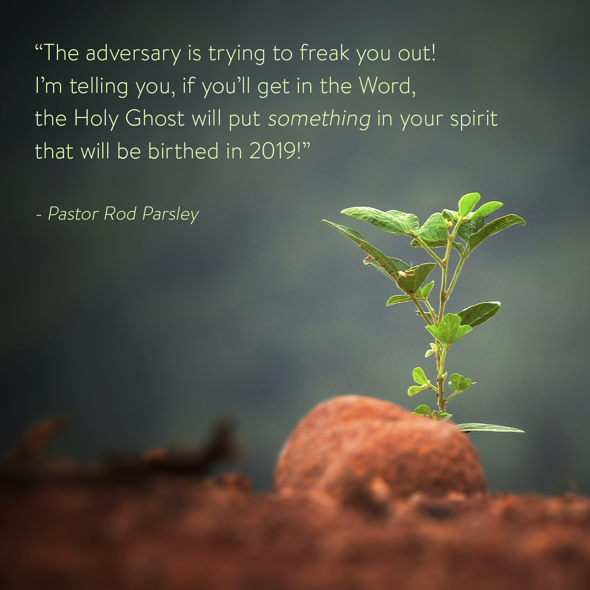 &ldquo;The adversary is trying to freak you out! I’m telling you, if you’ll get in the Word, the Holy Ghost will put something in your spirit that will be birthed in 2019!&rdquo; &ndash; Pastor Rod Parsley