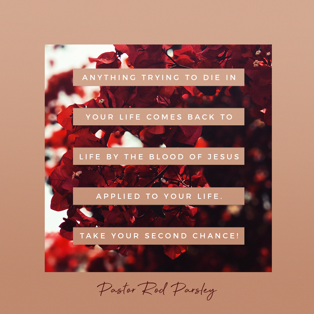 &ldquo;Anything trying to die in your life comes back to life by the blood of Jesus applied to your life.  Take your second chance!&rdquo; &ndash; Mrs. Joni Parsley