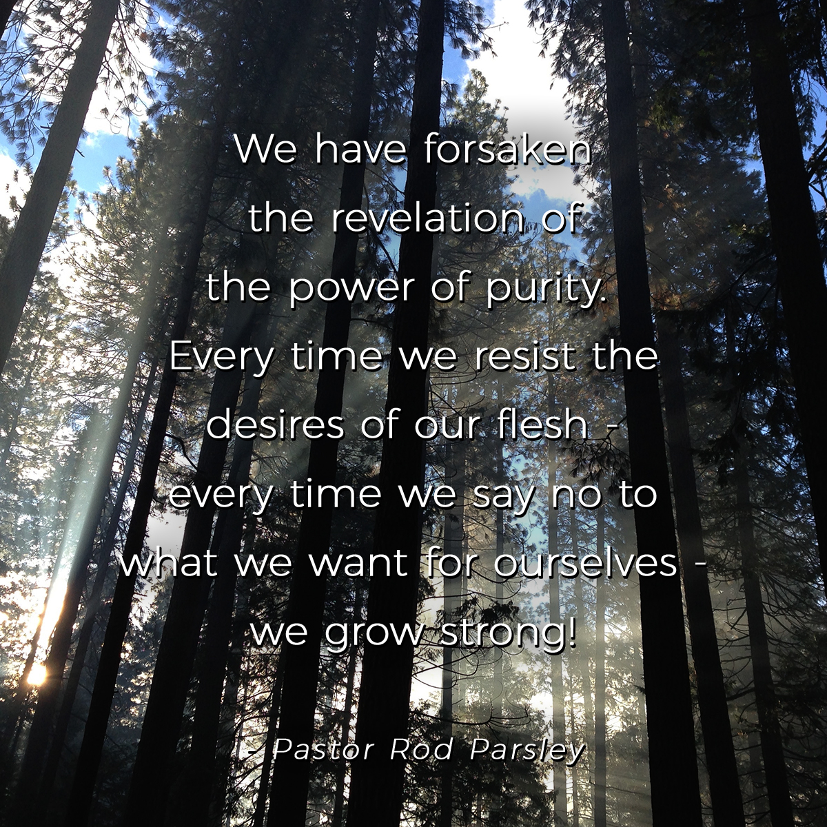 &ldquo;Restore the Roar &ndash; Holiness&rdquo;