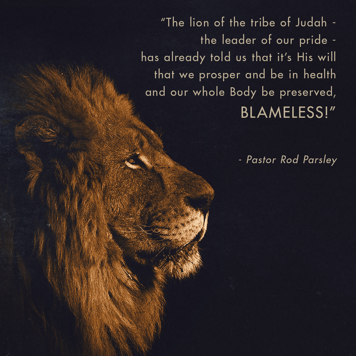 &ldquo;Legos and Lions&rdquo;