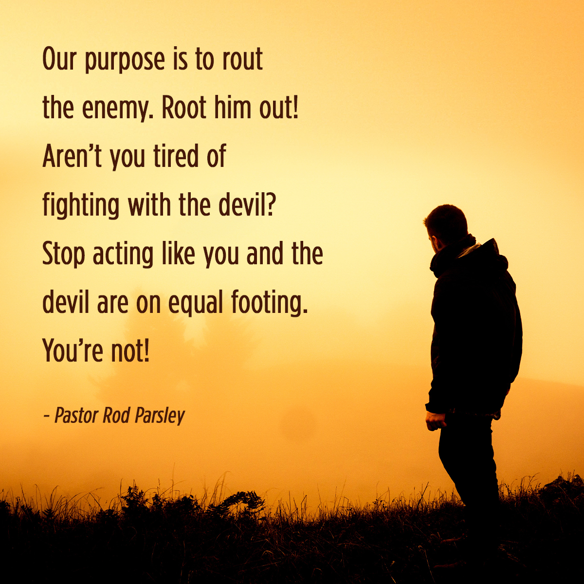 &ldquo;The Power of One Seed&rdquo;